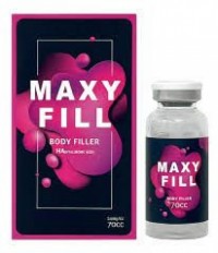 Maxy fill body filler (70cc)